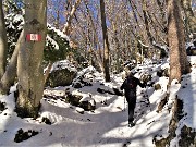 15 Il sent. 519A si inoltra nella faggeta 